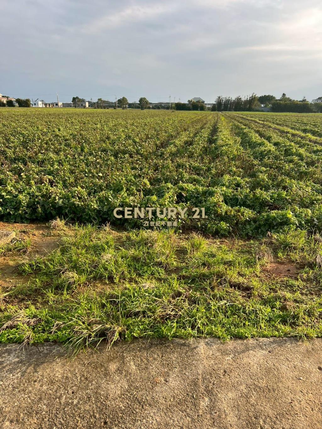 新屋近66快速道路可分售農地