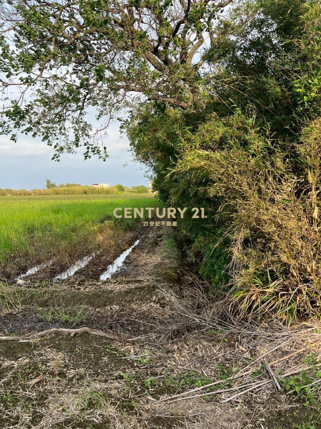 新屋近66快速道路可分售農地