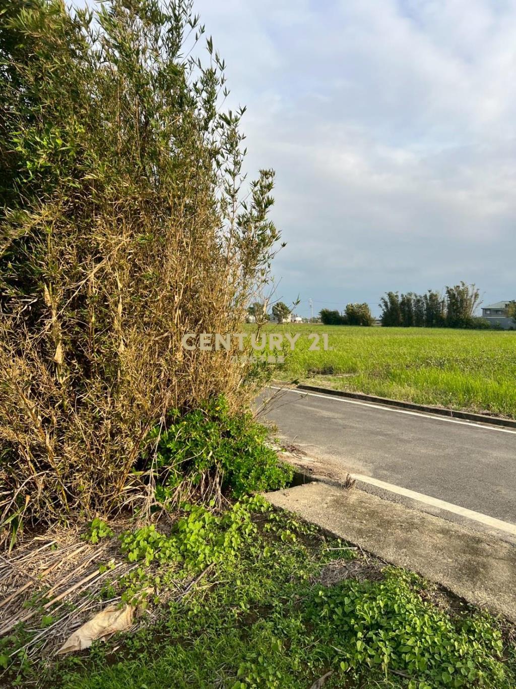 新屋近66快速道路可分售農地