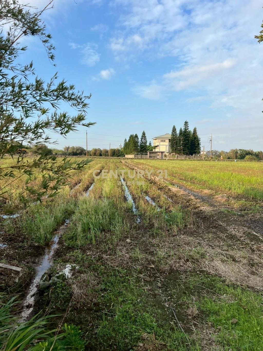 新屋近66快速道路可分售農地