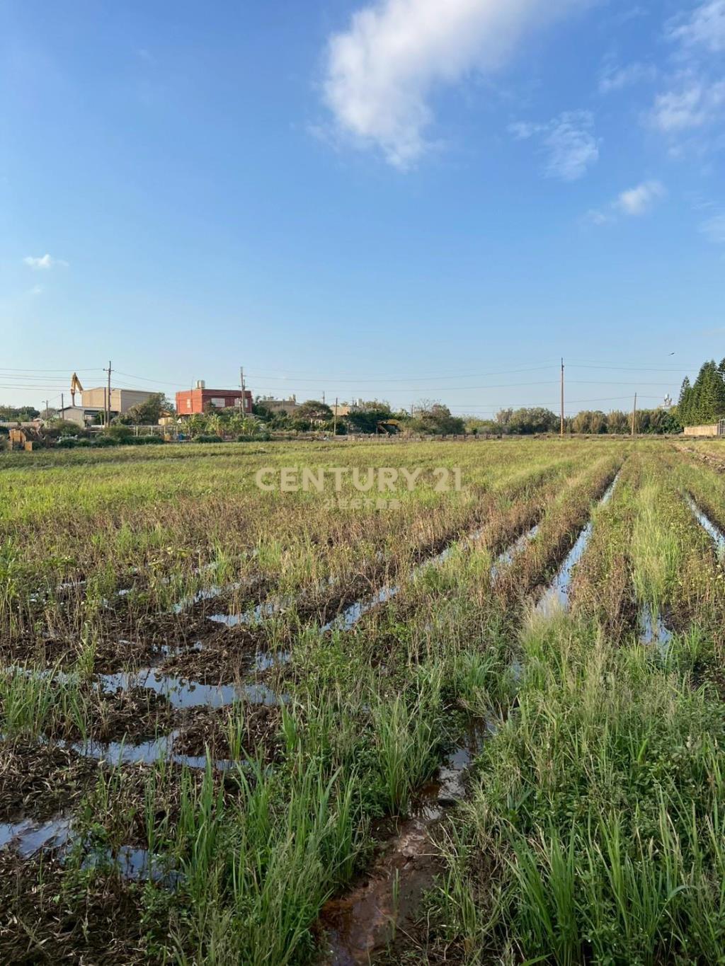 新屋近66快速道路可分售農地