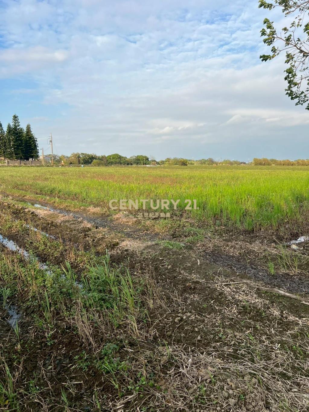 新屋近66快速道路可分售農地