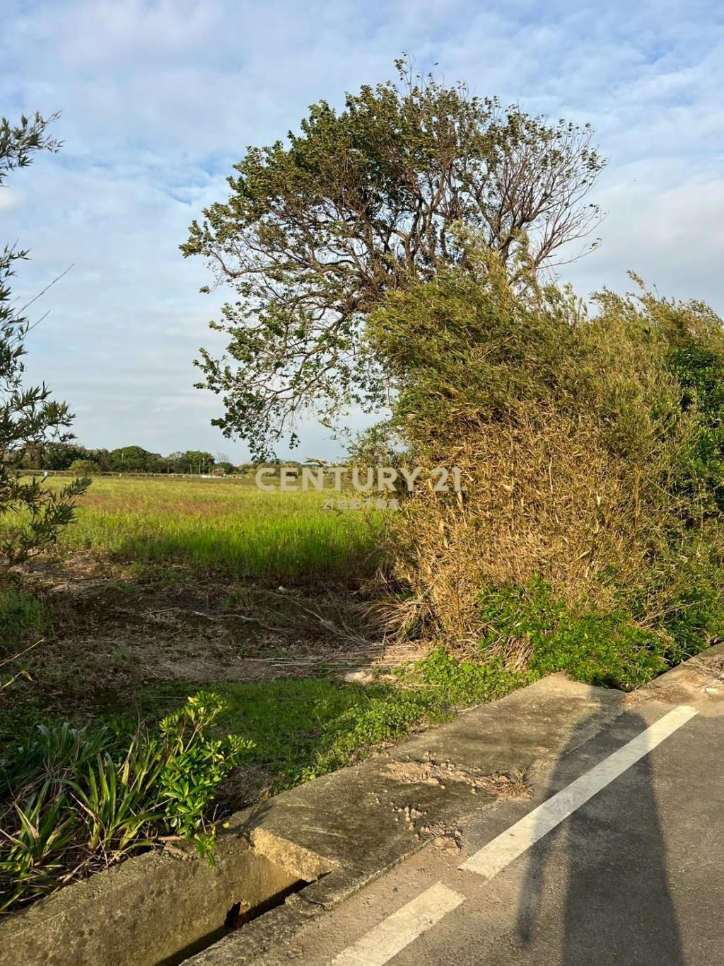 新屋近66快速道路可分售農地