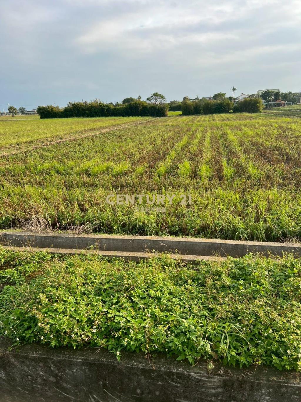 新屋近66快速道路可分售農地
