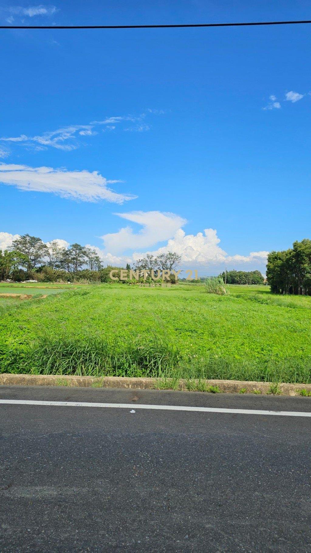 【新屋區｜8米路旁-正新湖路農地】