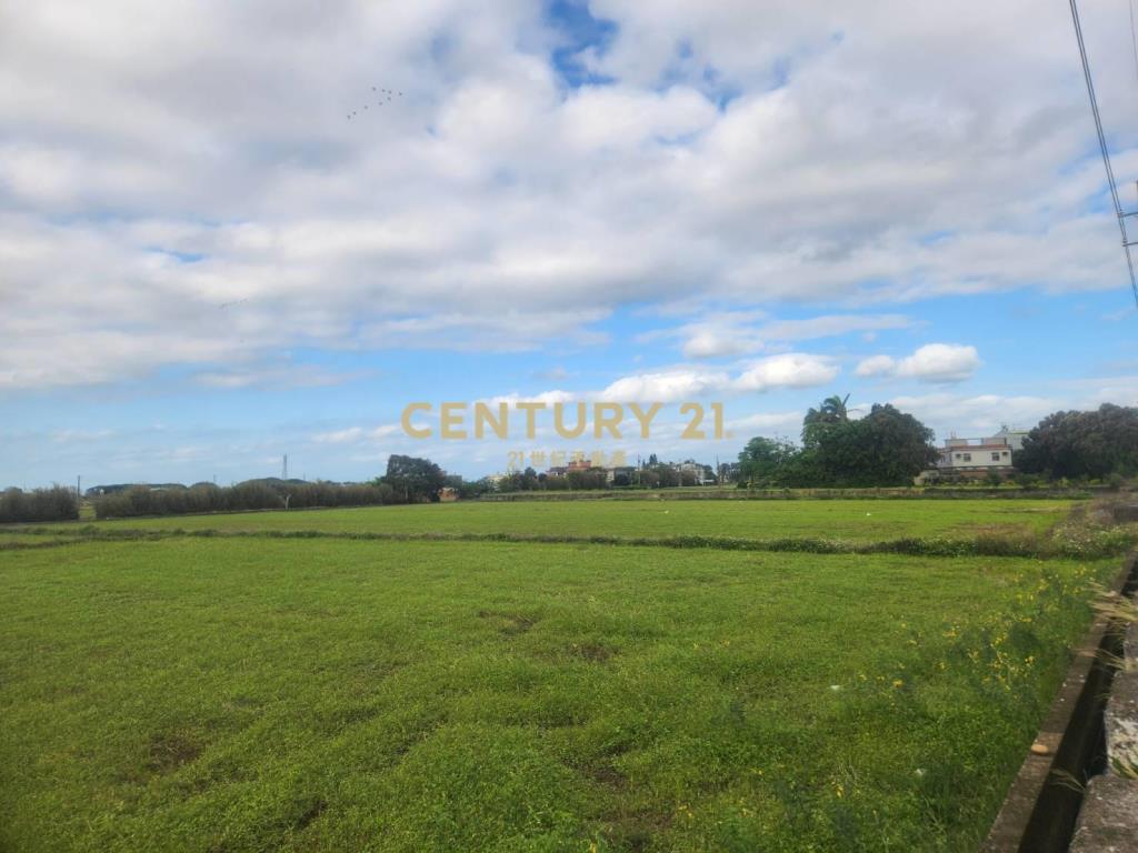新屋大馬路旁面寬農地