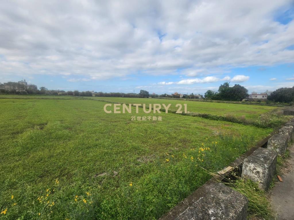 新屋大馬路旁面寬農地