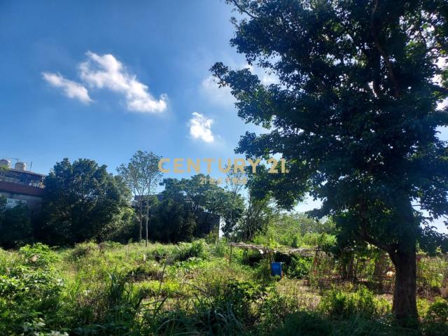 埔心車站都內農