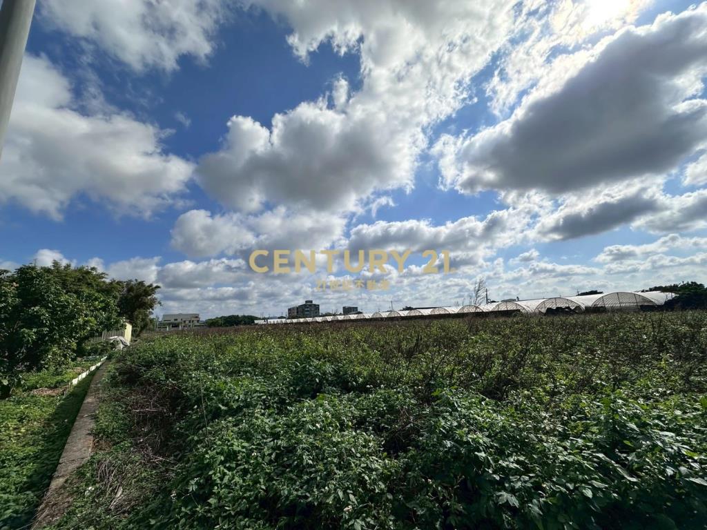 技嘉都內農 502坪