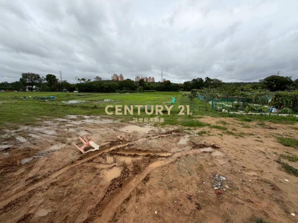 近水美國小優質美農地