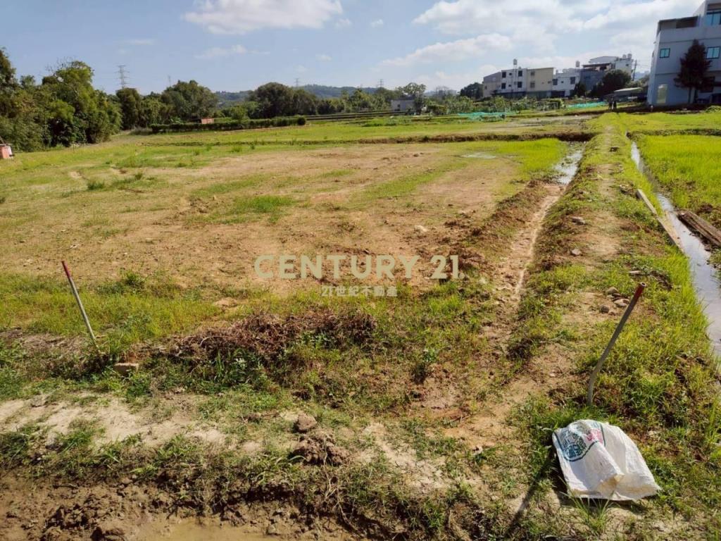 近水美國小優質美農地