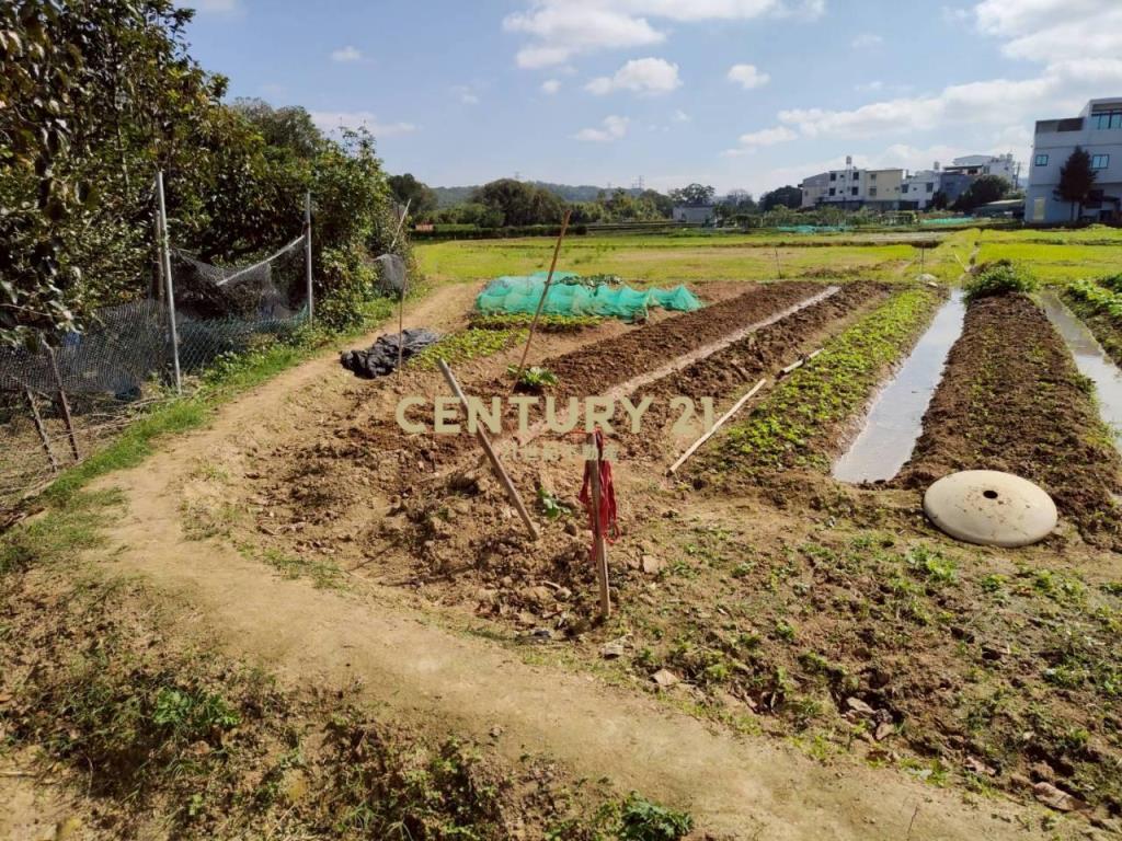 近水美國小優質美農地