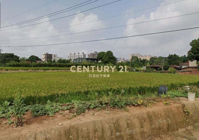 平鎮三興路都內農