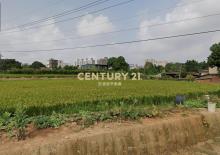 平鎮三興路都內農