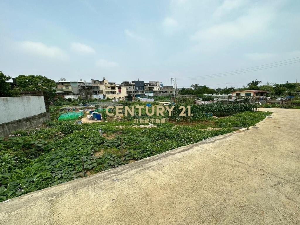 平鎮中豐路小坪數都計內農地