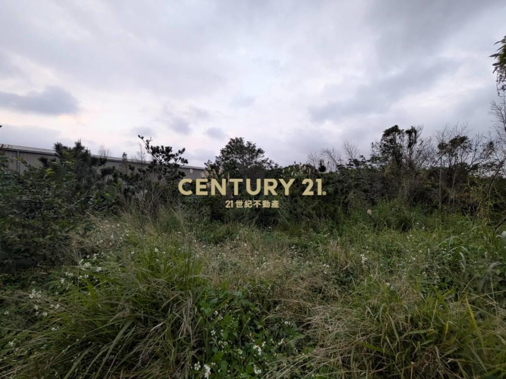 梅高路201鋼骨造溫室