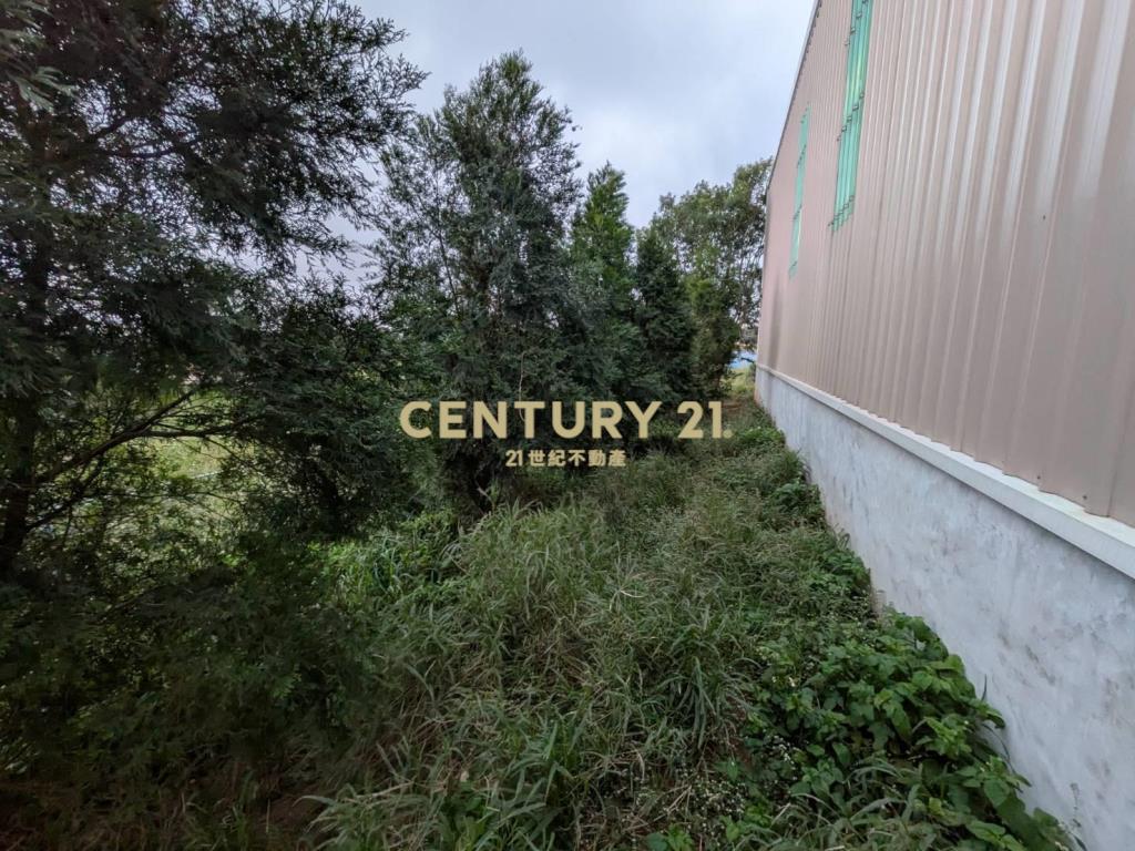 梅高路201鋼骨造溫室