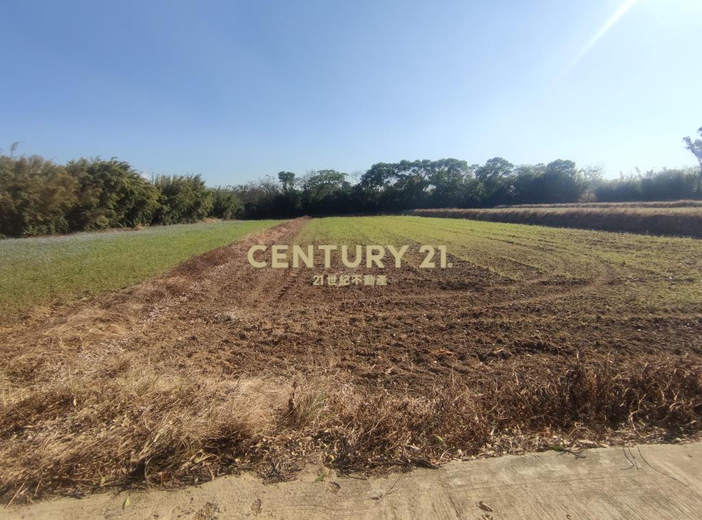 瑞源國小一般農677.58坪