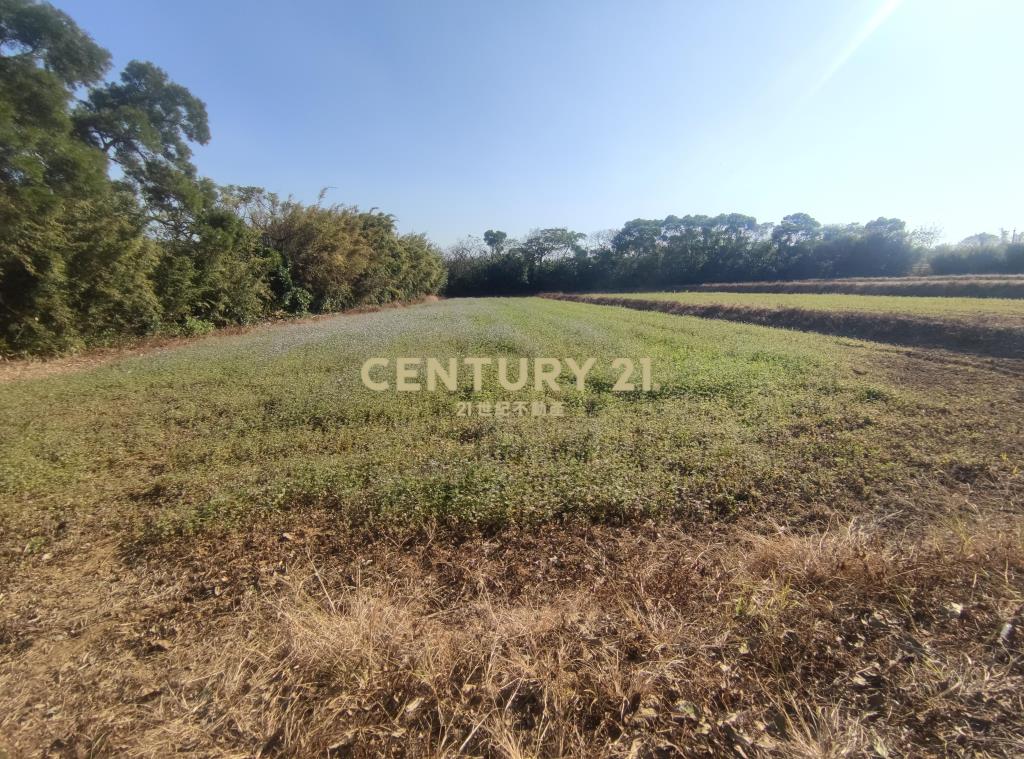 瑞源國小一般農677.58坪