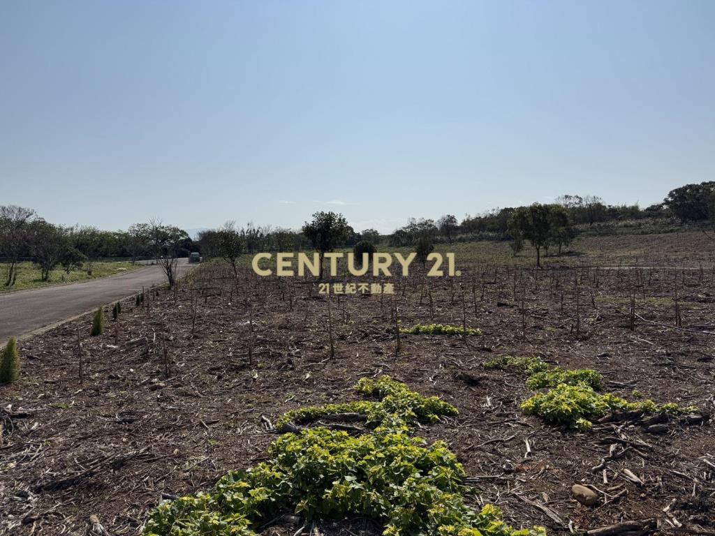 陽光山林大地坪美農地