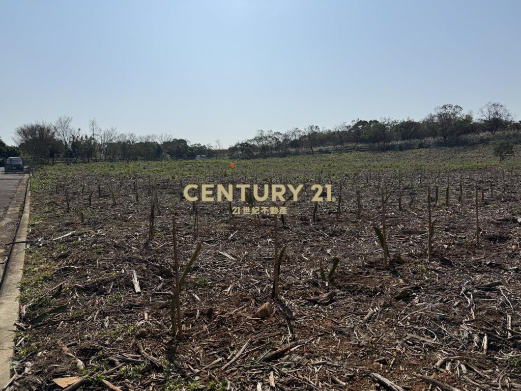 陽光山林大地坪美農地