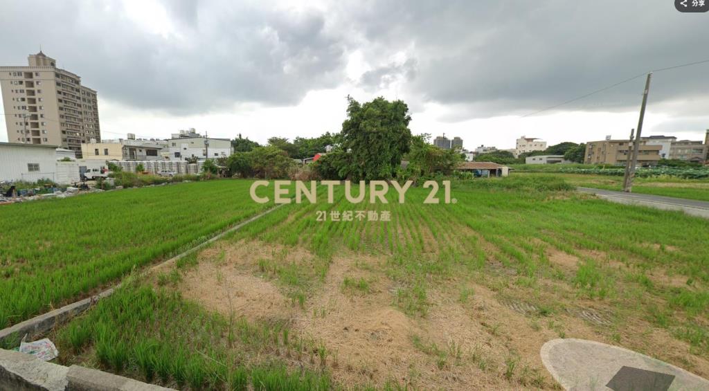 蘆竹稀有收租一般農