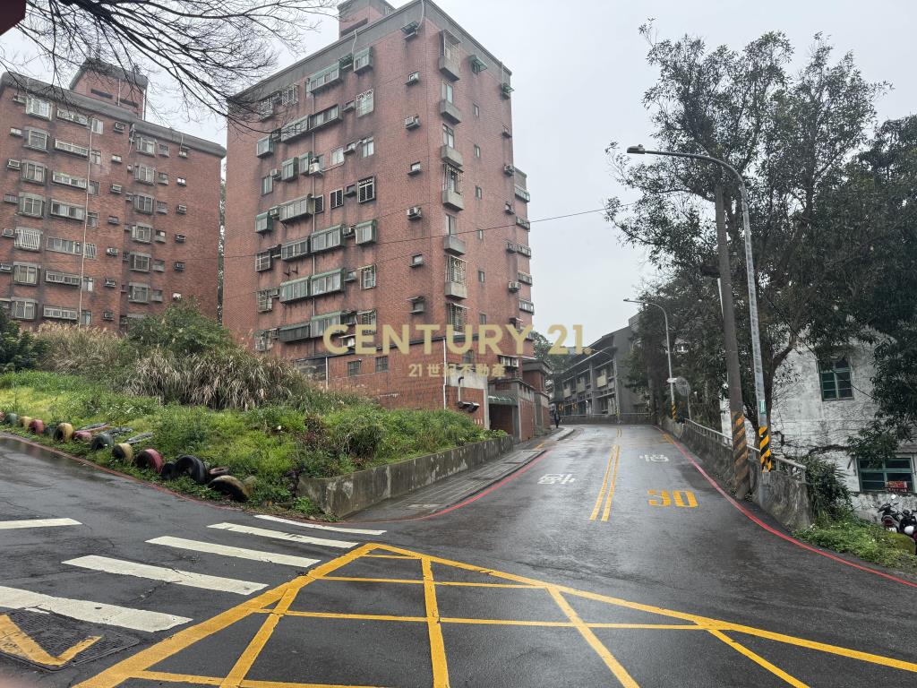 楊梅第一景NO2三房車