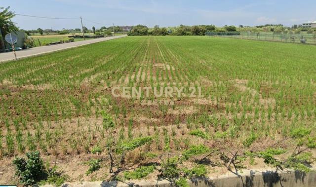 新屋雙臨路農地