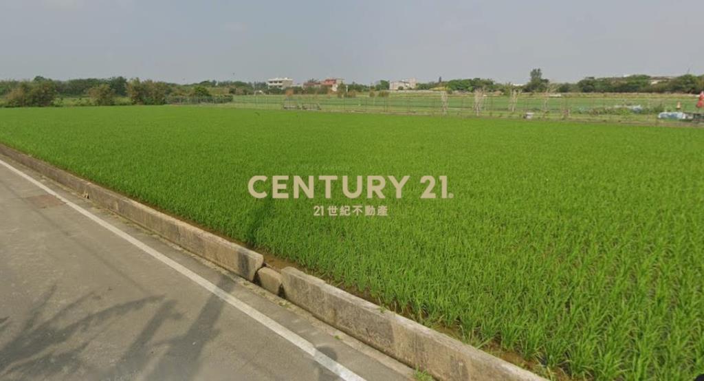 新屋雙臨路農地