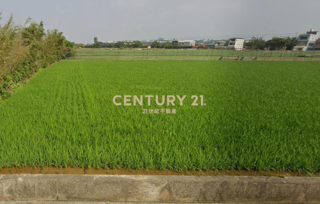 新屋雙臨路農地