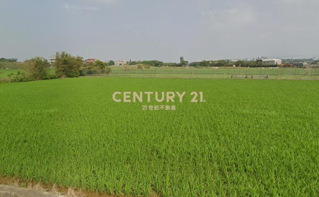 新屋雙臨路農地