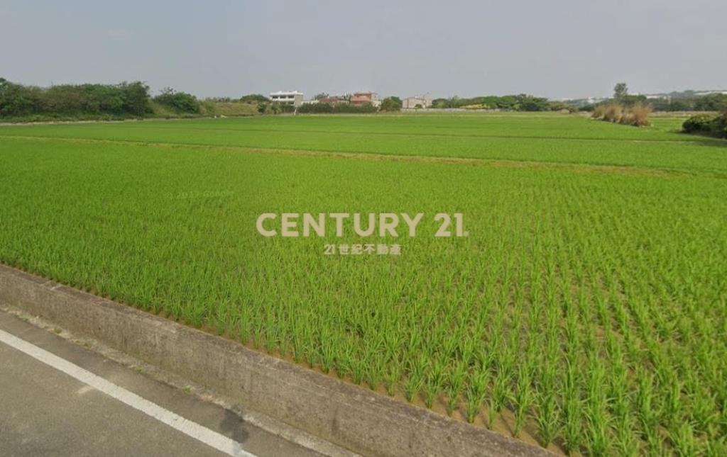 新屋雙臨路農地