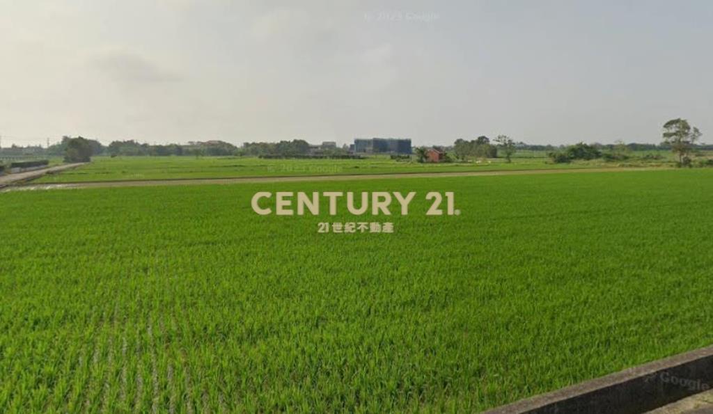 新屋雙臨路農地