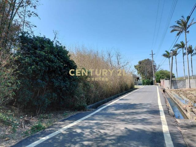 新豐雙面臨路287坪農地