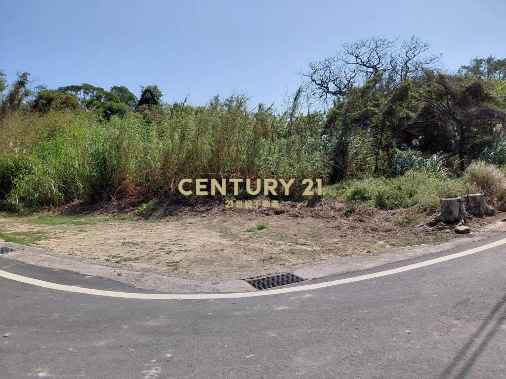 新豐雙面臨路287坪農地