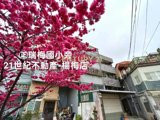 正瑞梅國小.公園旁透天💜5房5衛