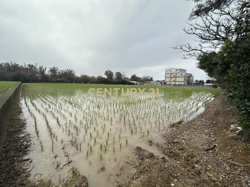 新屋三民路臨路方正優質農地