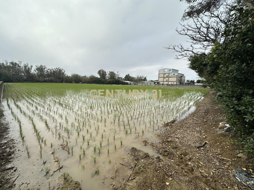 新屋三民路臨路方正優質農地