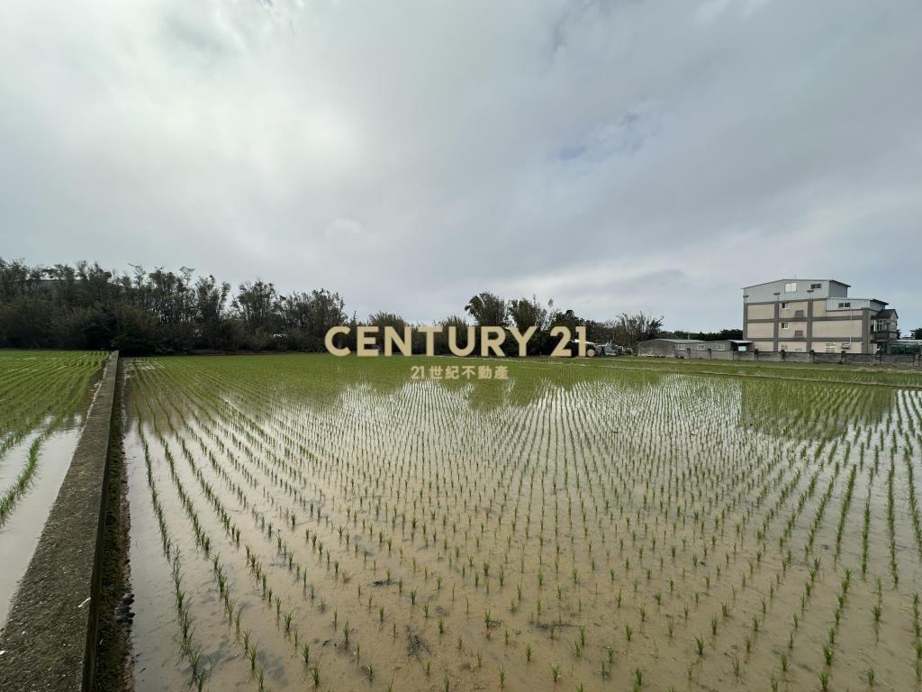新屋三民路臨路方正優質農地