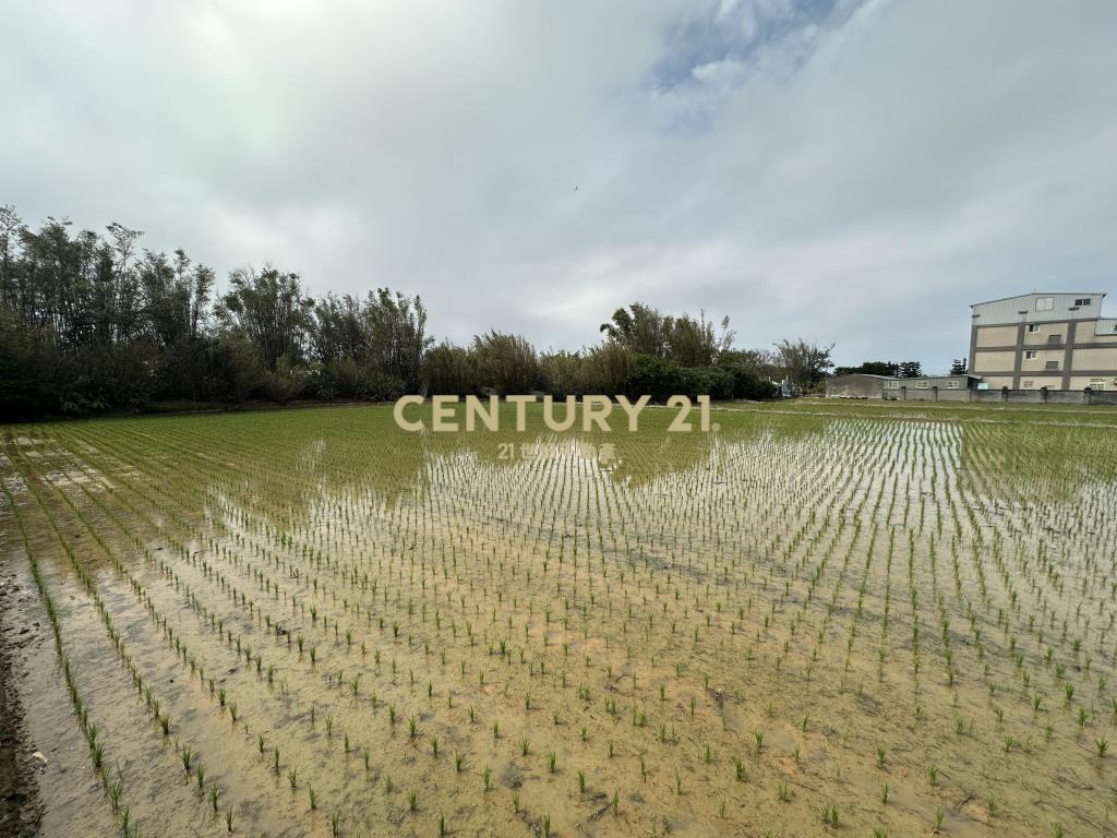 新屋三民路臨路方正優質農地