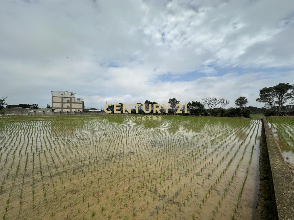 新屋三民路臨路方正優質農地