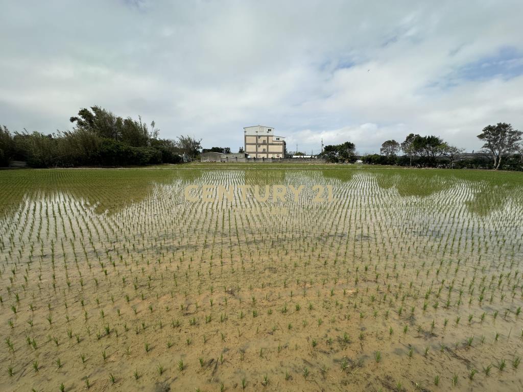 新屋三民路臨路方正優質農地