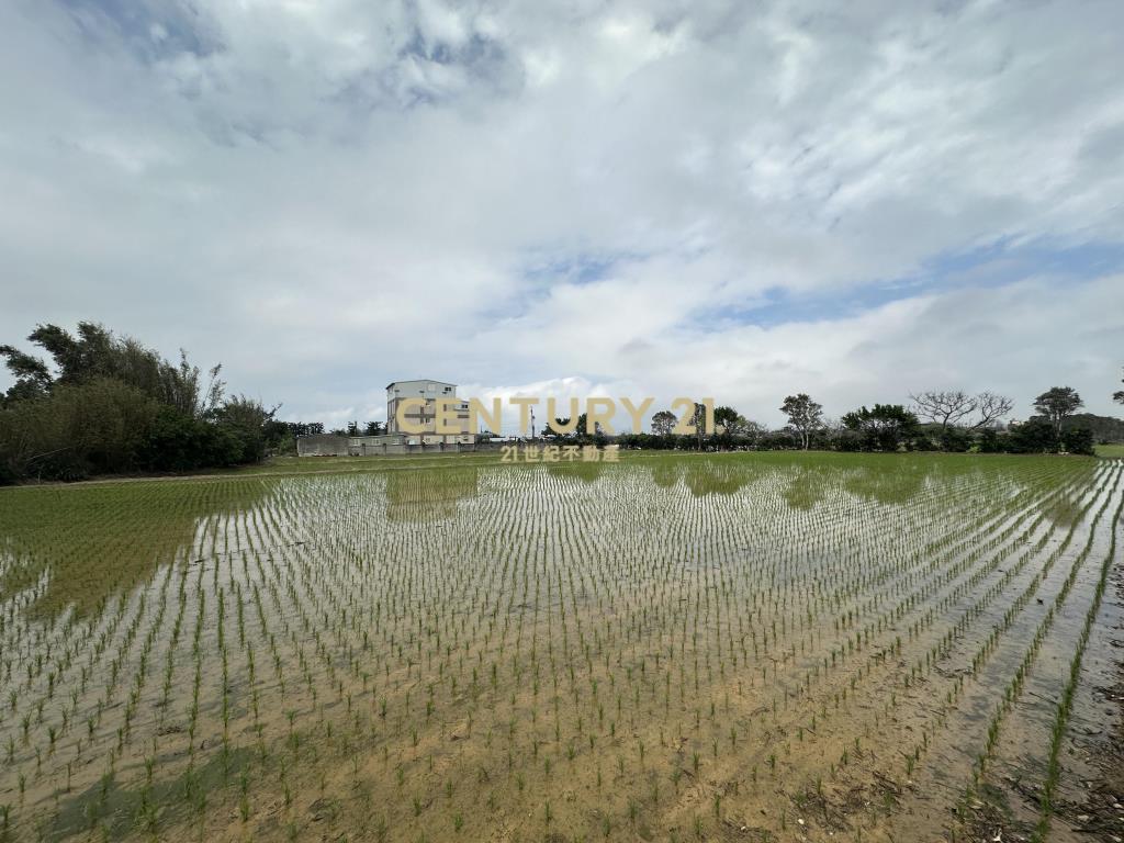 新屋三民路臨路方正優質農地