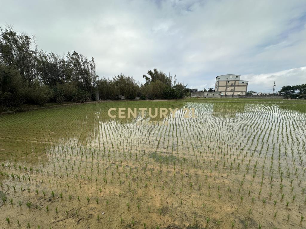 新屋三民路臨路方正優質農地