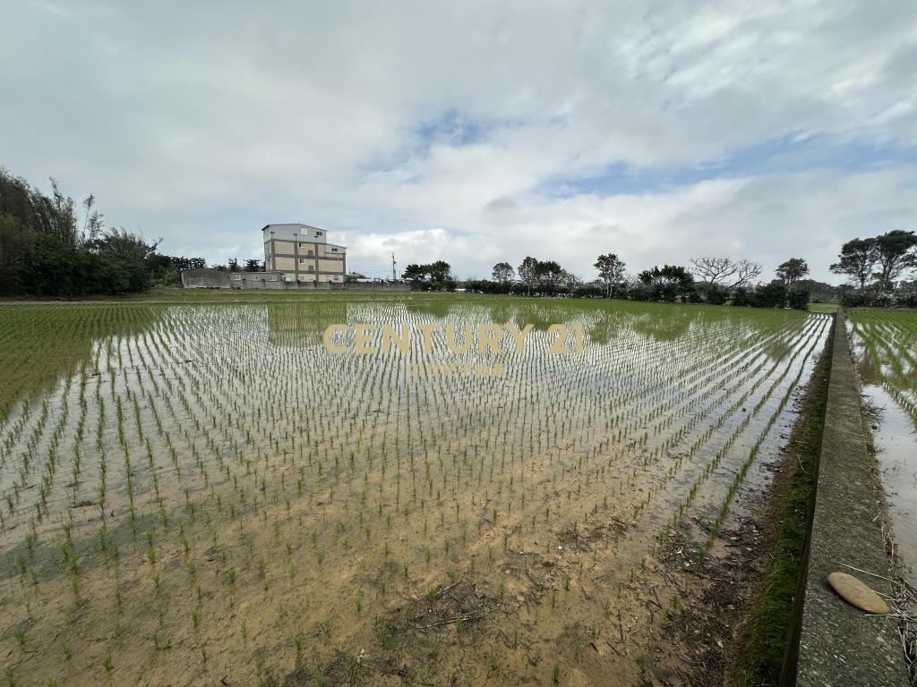 新屋三民路臨路方正優質農地