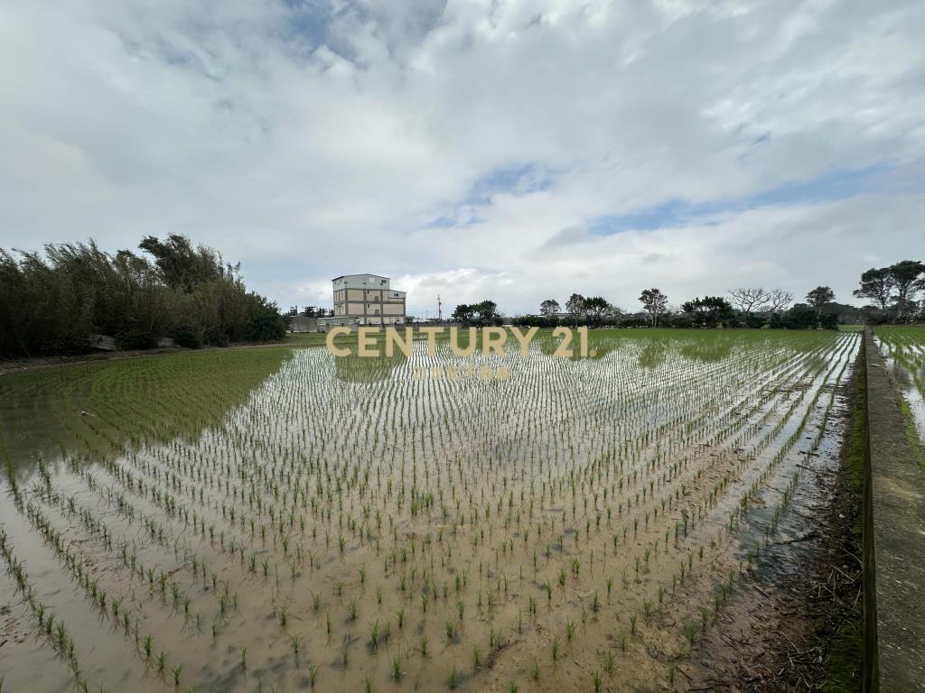 新屋三民路臨路方正優質農地