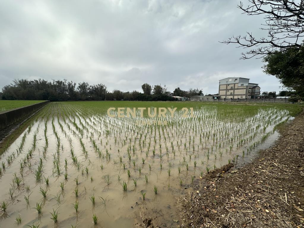 新屋三民路臨路方正優質農地