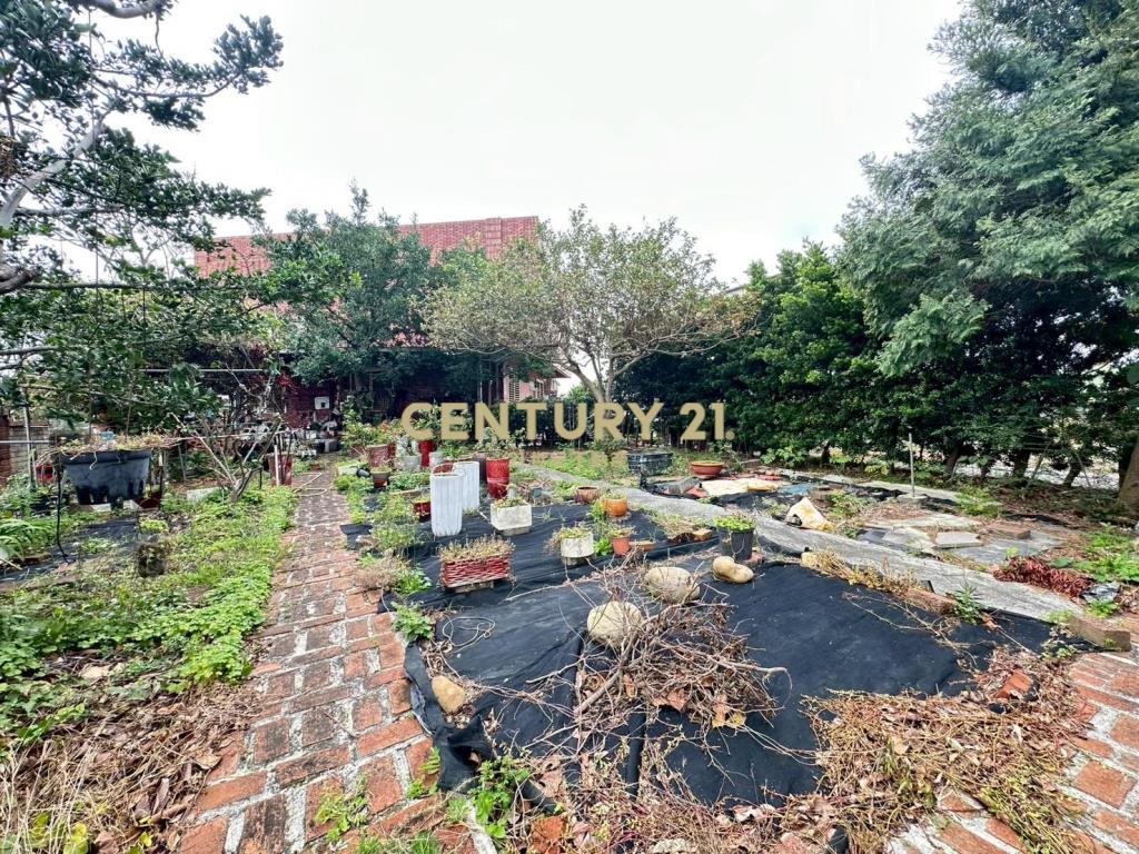 新屋66快速路超值農舍