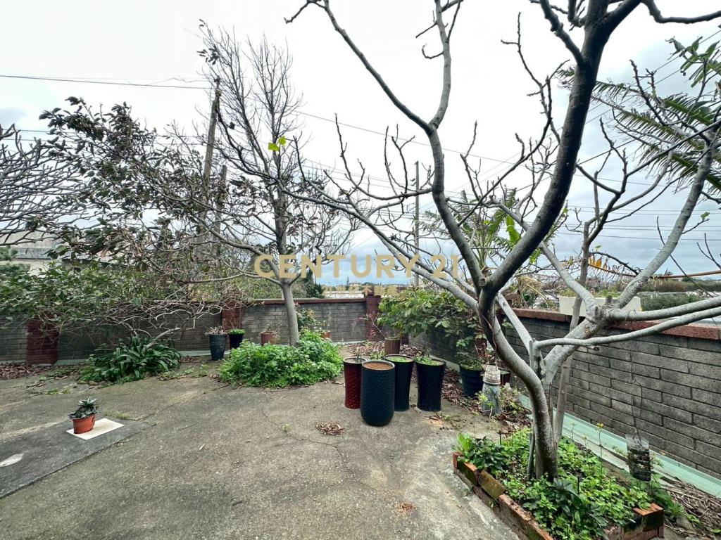 新屋66快速路超值農舍