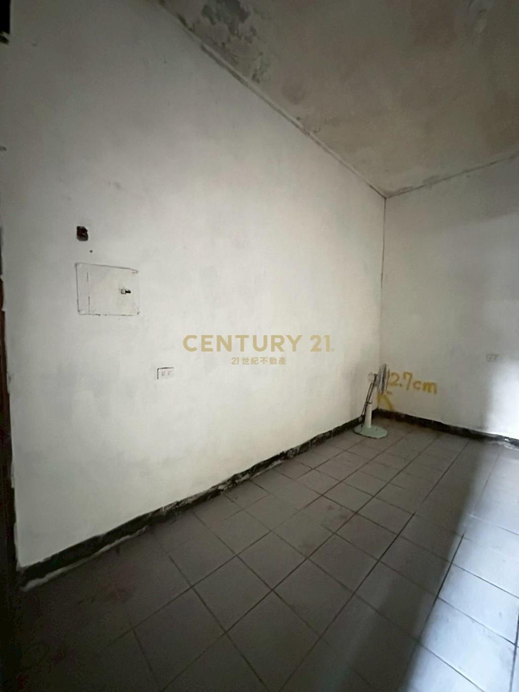 平鎮近66大地坪透天